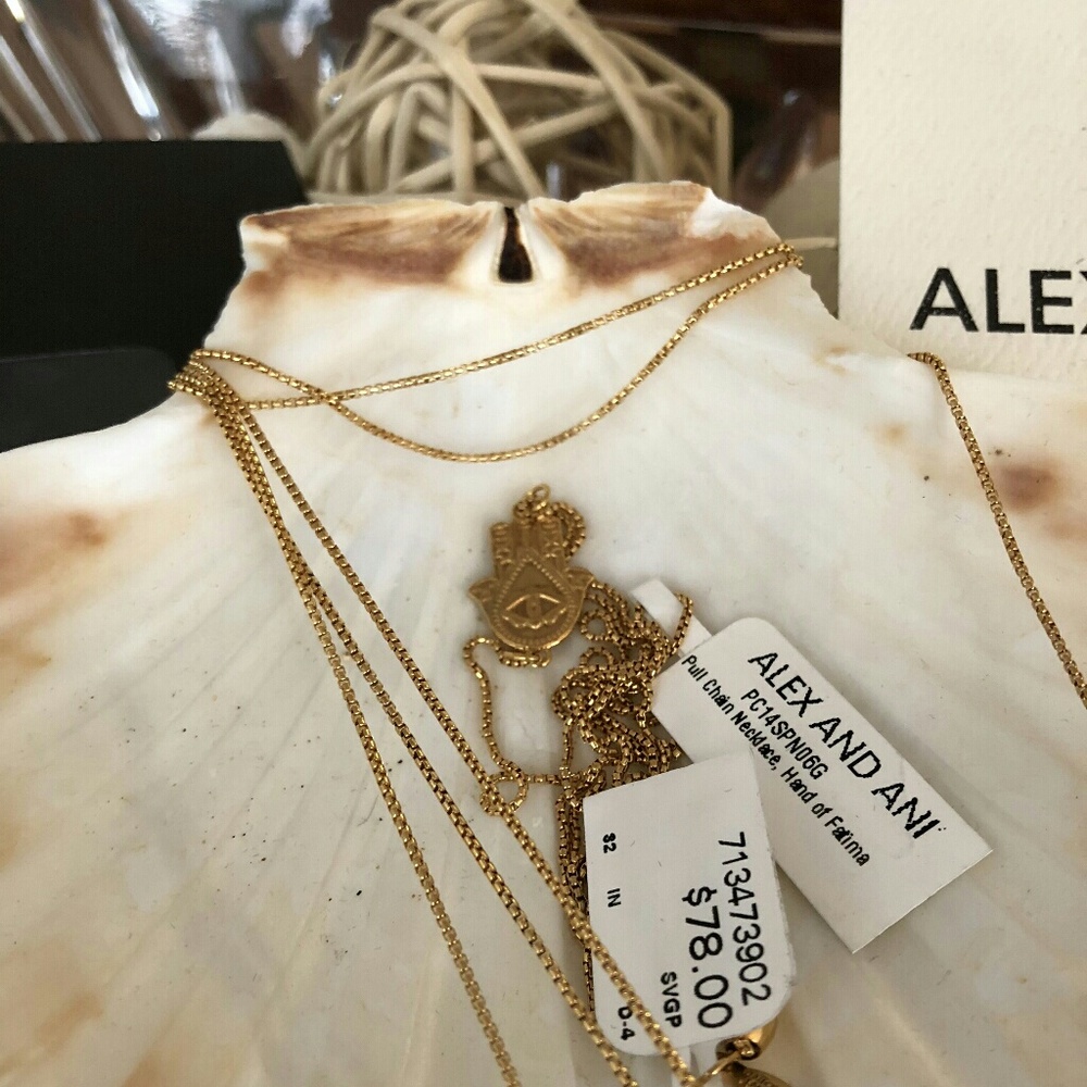 Alex and Ani Gold Hamsa Necklace - Picture 4 of 8